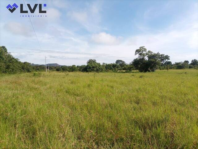#449 - Fazenda para Venda em Natividade - TO - 3