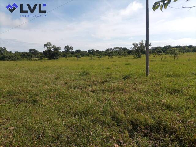 Fazenda para Venda em Natividade - 5