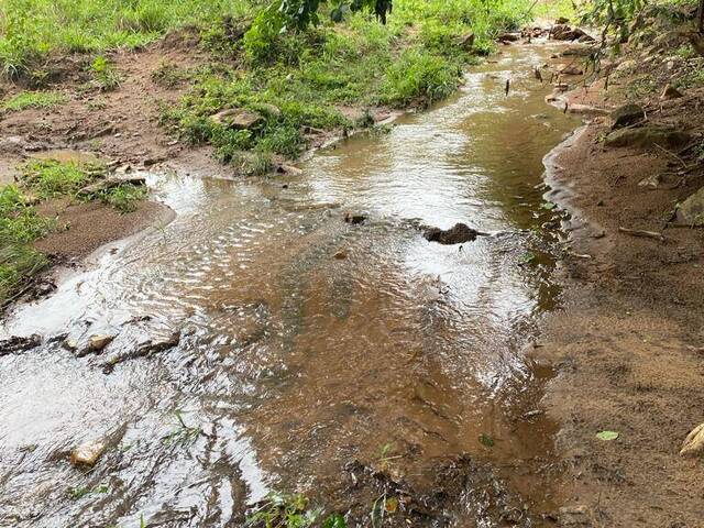 Fazenda para Venda em Jandaia - 4