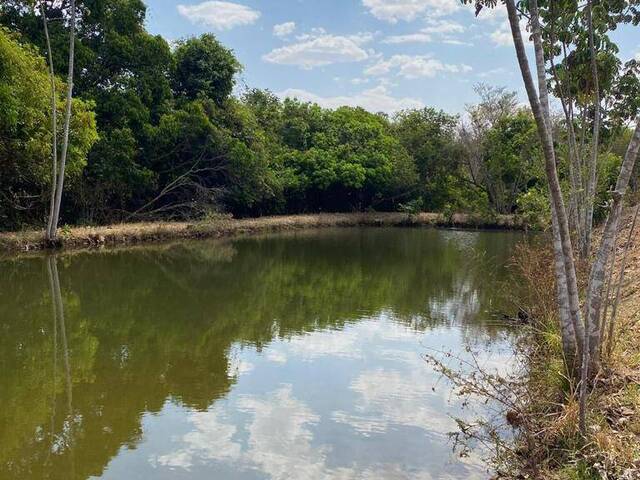 Fazenda para Venda em Jandaia - 5