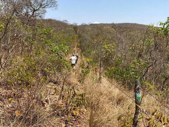 #450 - Fazenda para Venda em Jandaia - GO - 2
