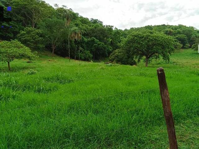 #451 - Fazenda para Venda em Minaçu - GO - 2