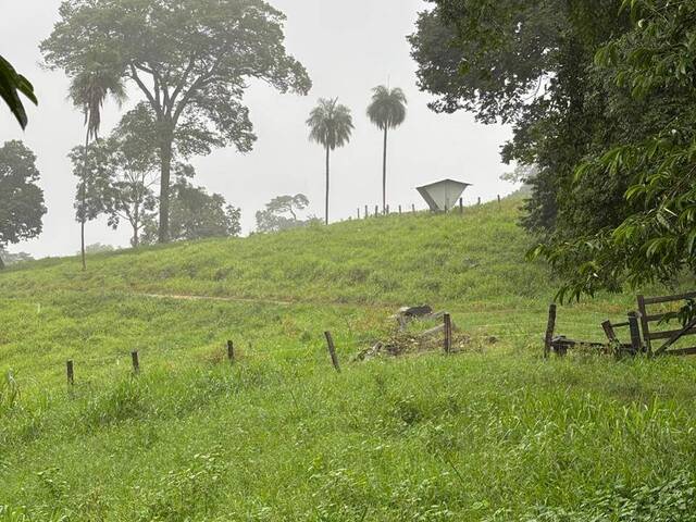 #451 - Fazenda para Venda em Minaçu - GO - 3