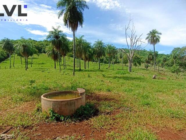 Fazenda para Venda em Minaçu - 5
