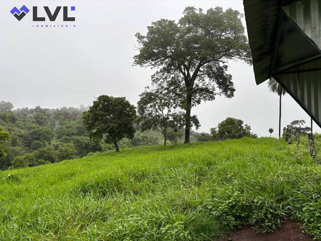Fazenda para Venda em Minaçu - 4