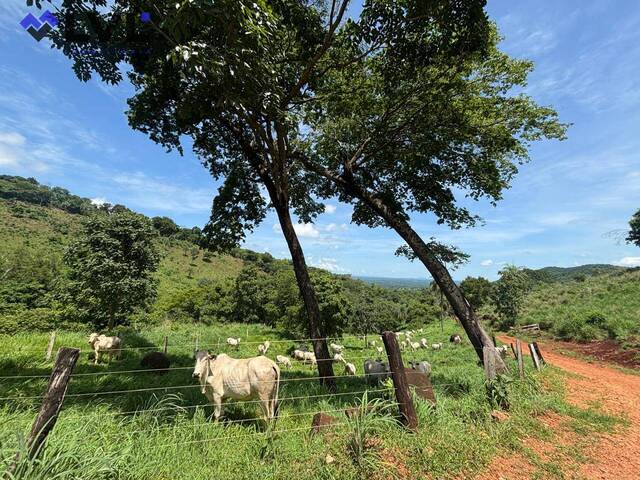 Venda em Zona Rural - Minaçu