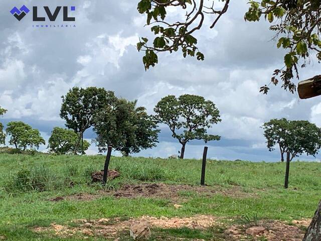 Fazenda para Venda em Uruaçu - 5