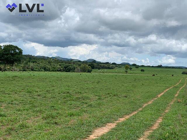 #454 - Fazenda para Venda em Uruaçu - GO - 2