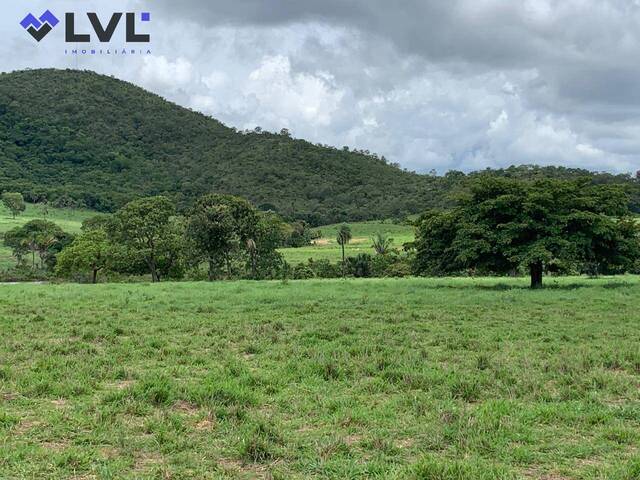 #454 - Fazenda para Venda em Uruaçu - GO - 3