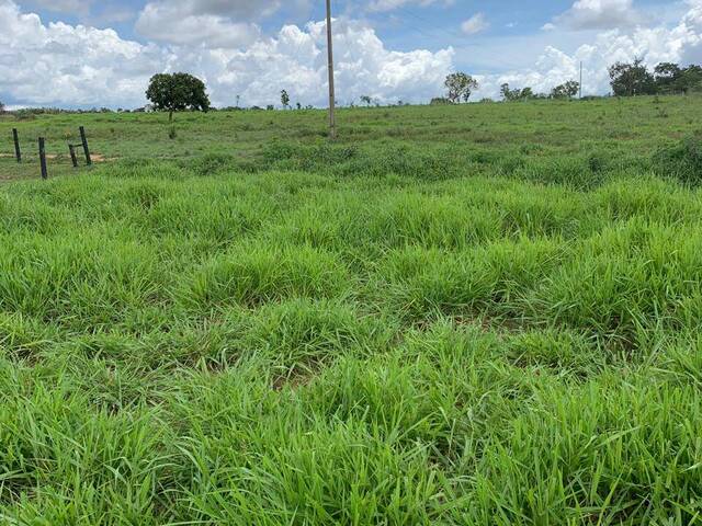 Fazenda para Venda em Uruaçu - 4