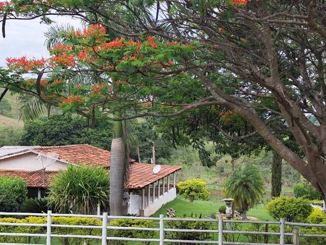 Sítio para Venda em Inhumas - 5