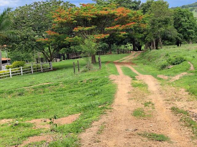 #296 - Sítio para Venda em Inhumas - GO - 3