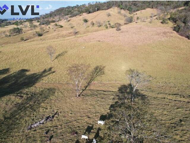 Sítio para Venda em Trindade - 5