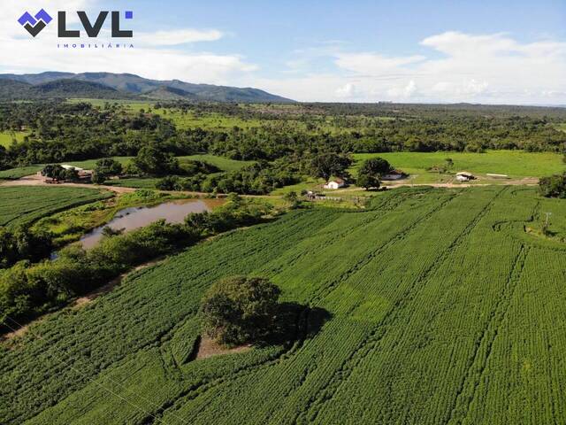Fazenda para Venda em Niquelândia - 5
