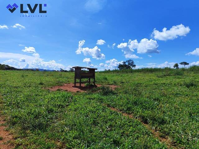 Fazenda para Venda em Itaberaí - 5