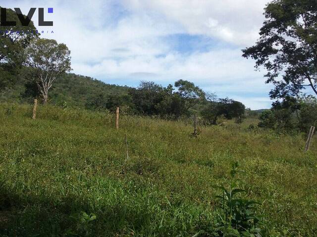 Fazenda para Venda em Minaçu - 5