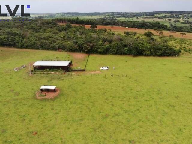 Sítio para Venda em Campo Limpo de Goiás - 5
