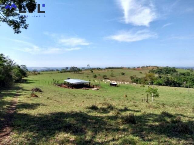 Sítio para Venda em Campo Limpo de Goiás - 4