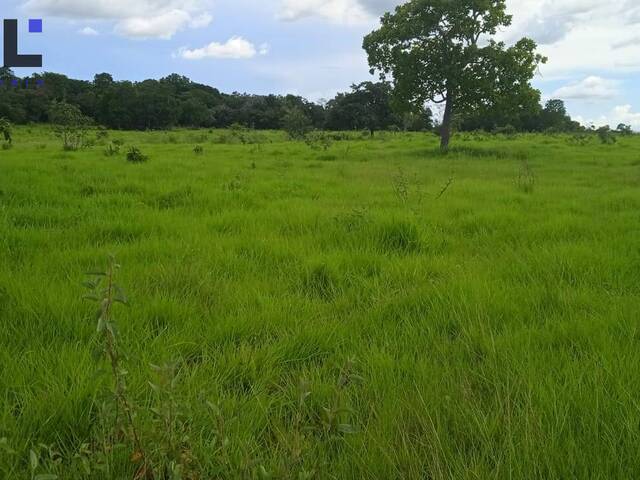 Fazenda para Venda em Jussara - 5