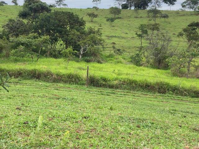 Fazenda para Venda em Alexânia - 5