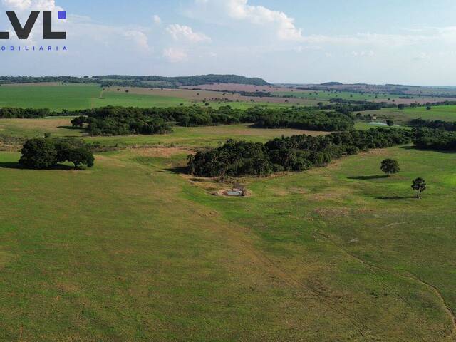 Chácara para Venda em Indiara - 4