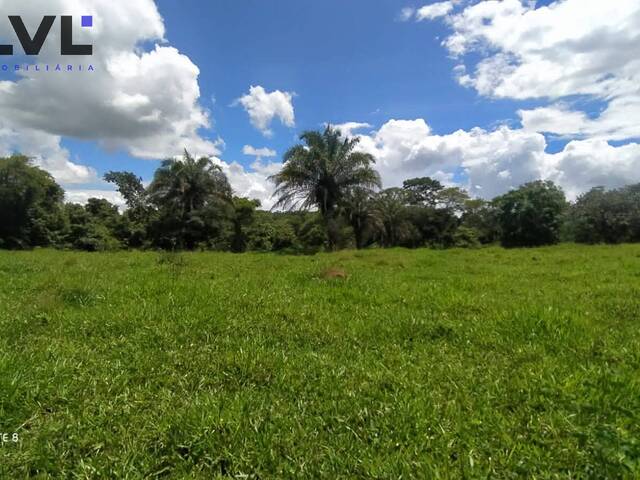 Chácara para Venda em Trindade - 5