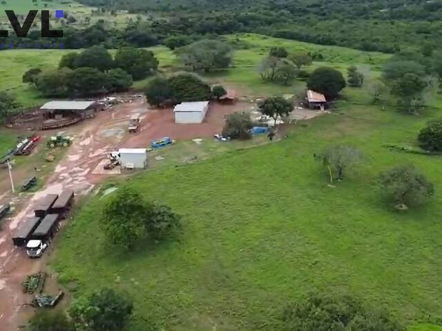 Fazenda para Venda em Gurupi - 5
