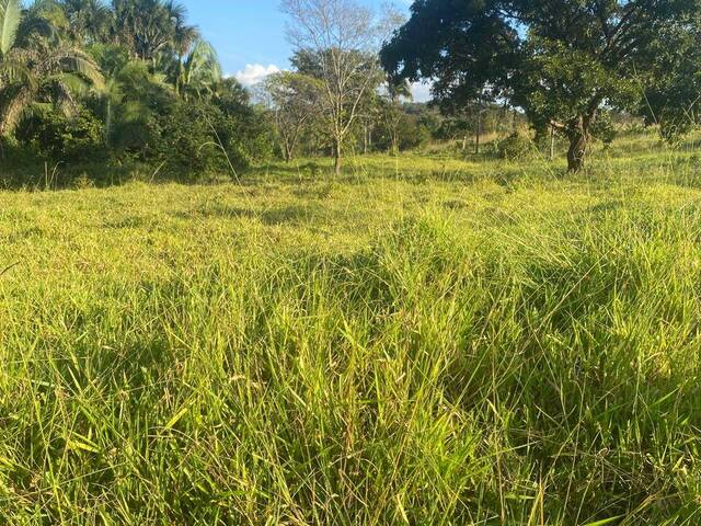 Fazenda para Venda em Guaraí - 5