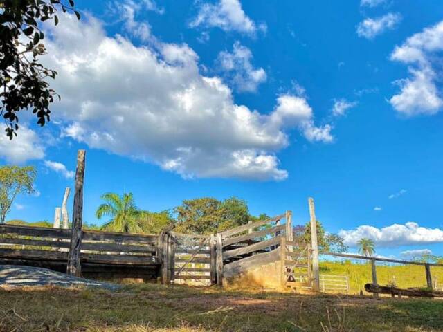 #510 - Fazenda para Venda em Padre Bernardo - GO - 3