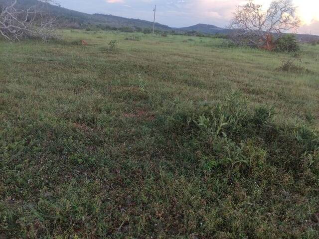 #513 - Fazenda para Venda em Miranorte - TO - 2