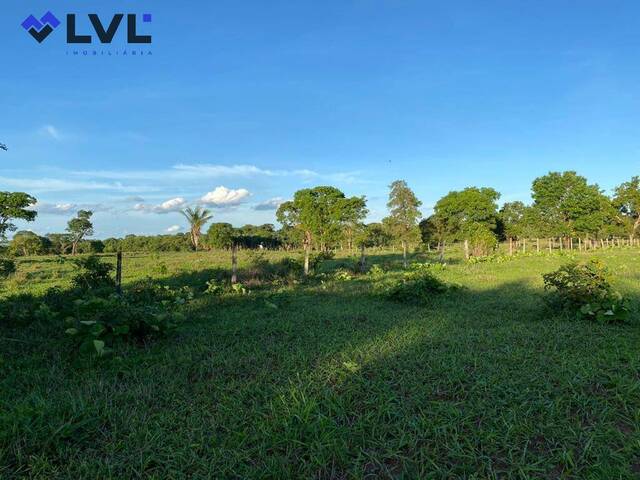 #514 - Fazenda para Venda em Israelândia - GO - 3