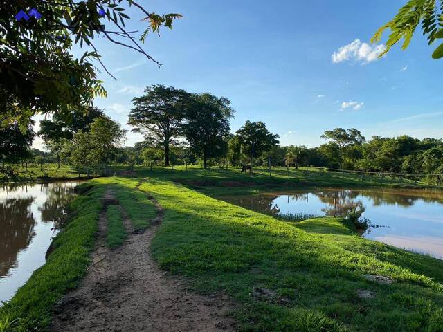 #514 - Fazenda para Venda em Israelândia - GO - 2