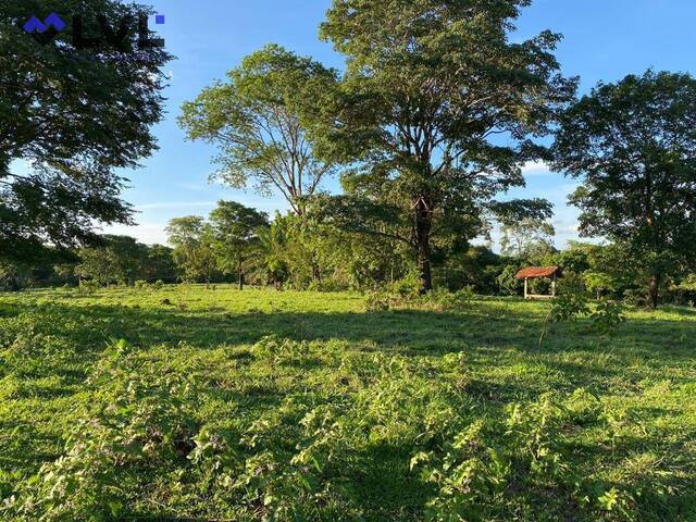 Fazenda para Venda em Israelândia - 4