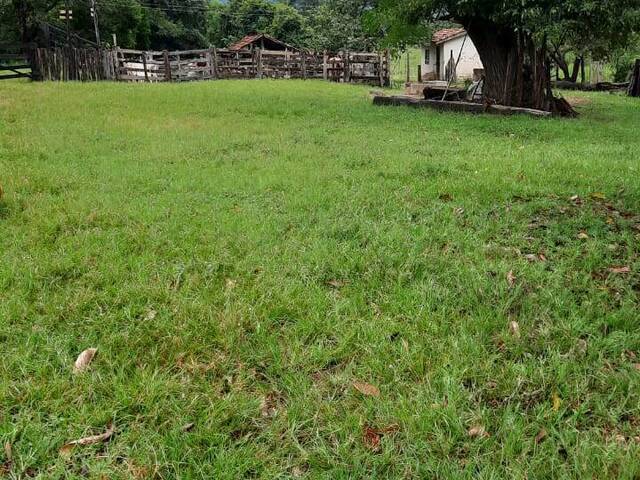 Fazenda para Venda em Goianésia - 4