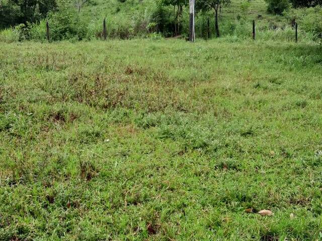 #515 - Fazenda para Venda em Goianésia - GO - 3
