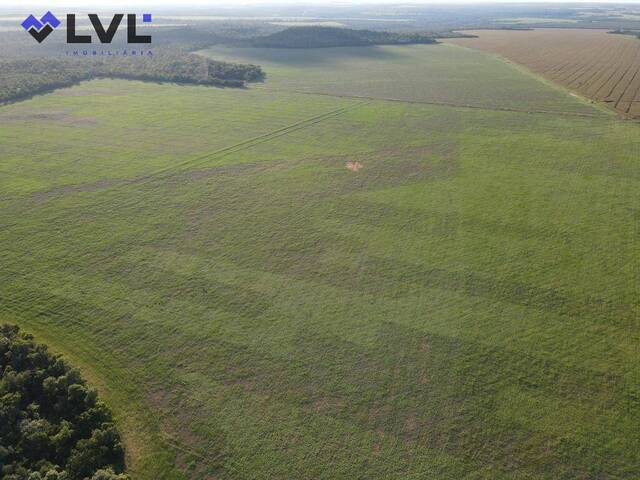 #516 - Fazenda para Venda em Araguaína - TO - 2