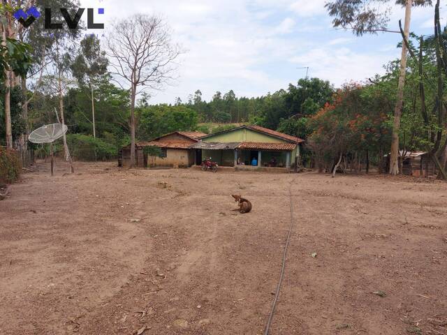 Fazenda para Venda em Pirenópolis - 4