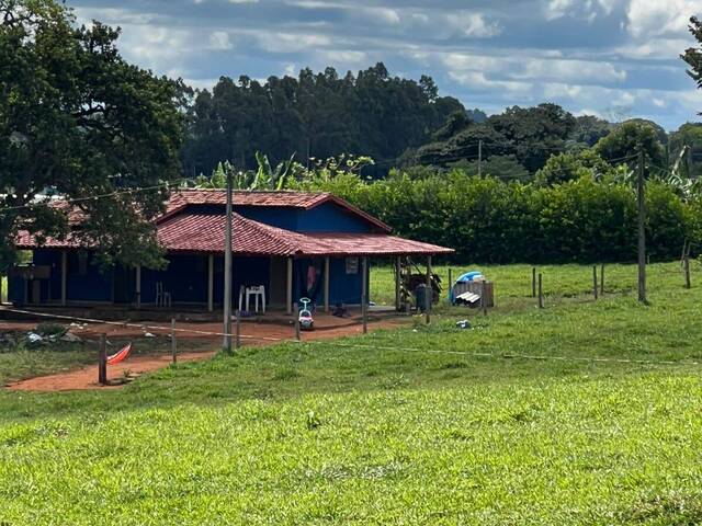 #520 - Fazenda para Venda em Caturaí - GO - 1