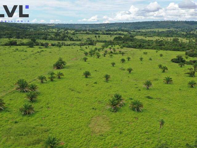 #521 - Fazenda para Venda em Santa Fé de Goiás - GO - 3