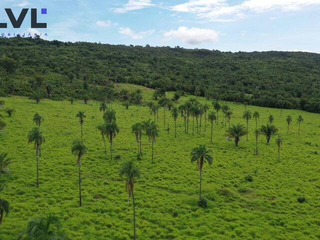 #521 - Fazenda para Venda em Santa Fé de Goiás - GO - 2