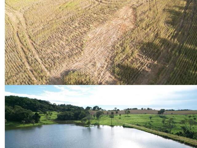 Fazenda para Venda em Nazário - 4