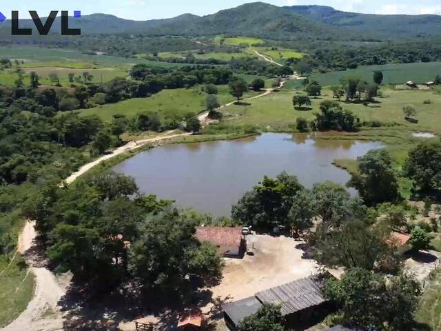 #524 - Fazenda para Venda em Vila Propício - GO - 2