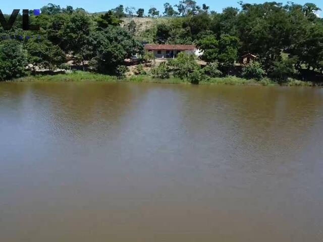 #524 - Fazenda para Venda em Vila Propício - GO - 3