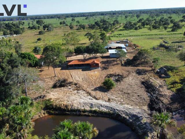 #526 - Fazenda para Venda em Novo Santo Antônio - MT - 3