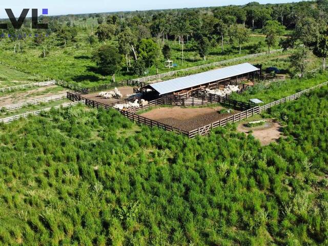 Fazenda para Venda em Novo Santo Antônio - 4