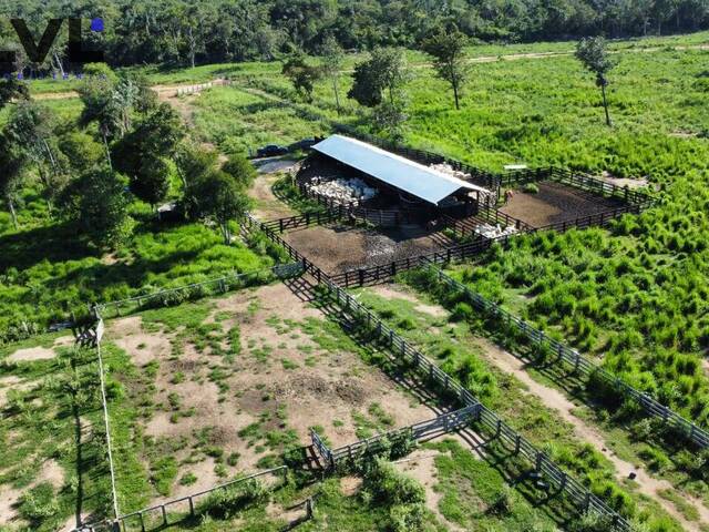 Fazenda para Venda em Novo Santo Antônio - 5