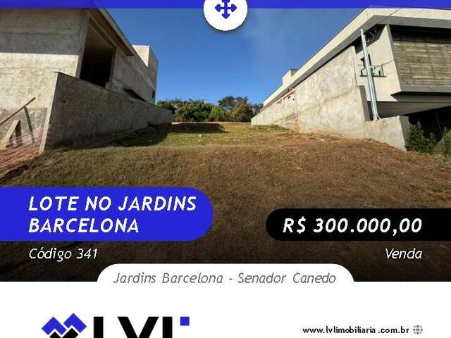 #341 - Área para Venda em Senador Canedo - GO - 1