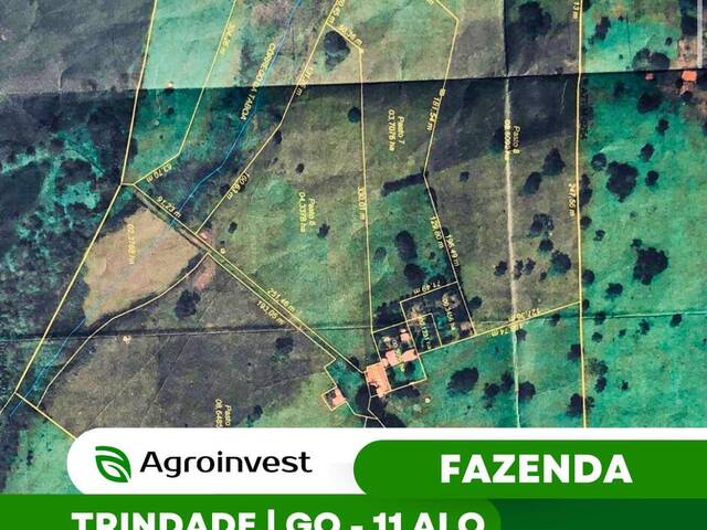 Venda em Zona Rural - Trindade