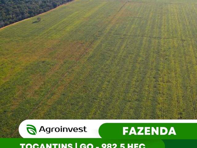 #516 - Fazenda para Venda em Araguaína - TO - 1