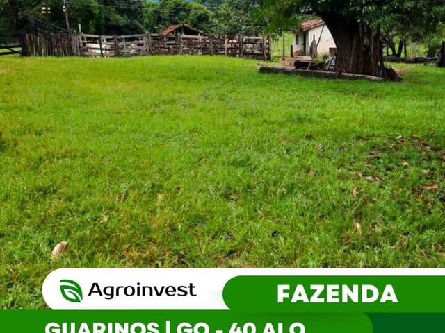 #515 - Fazenda para Venda em Goianésia - GO - 1